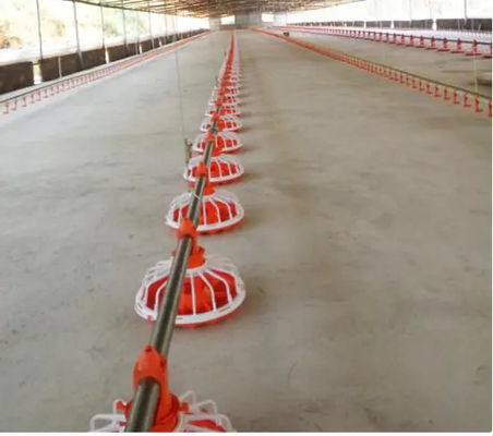 Automatic Chicken Poultry Equipment Chicken Feeding Line 50-100kg/H