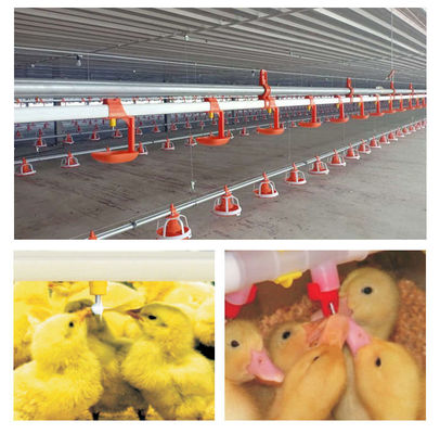 Automatic Broiler Chicken Quail Nipple DrinkersFor Animal&Poultry Husbandry Equipment