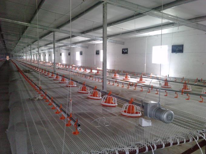 Chicken Quail broiler Nipple Drinkers with Cups for poultry watering system