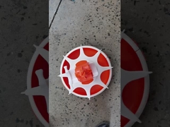 آلة تغذية أوتوماتيكية لمزرعة الدجاج ، خط تغذية بسيط ، مجموعة كاملة من معدات التغذية