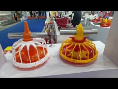 معدات خط تغذية ونش آلة التغذية الكاملة لمزرعة الدجاج والبط في سقيفة كبيرة