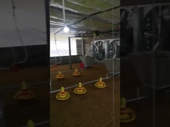 معدات تغذية مزرعة الدجاج الأوتوماتيكية المخصصة الجهد قابل للتعديل