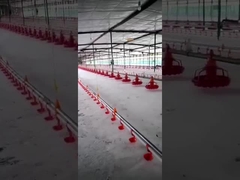 Plasson Bucket Automatic Bell Drinker لمعدات الدواجن الشارب