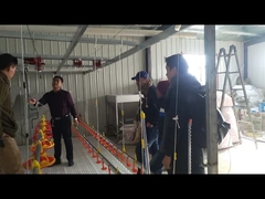 يشربون بط الأوز نظام سقي مياه الشرب Nipple Waterer لتربية دواجن الطيور